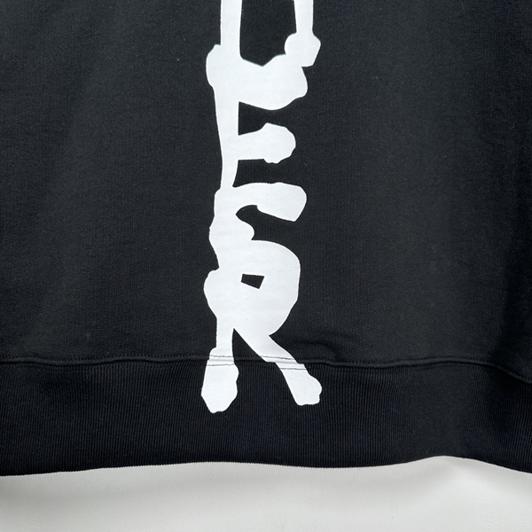 ブランドパーカー全体デザイン